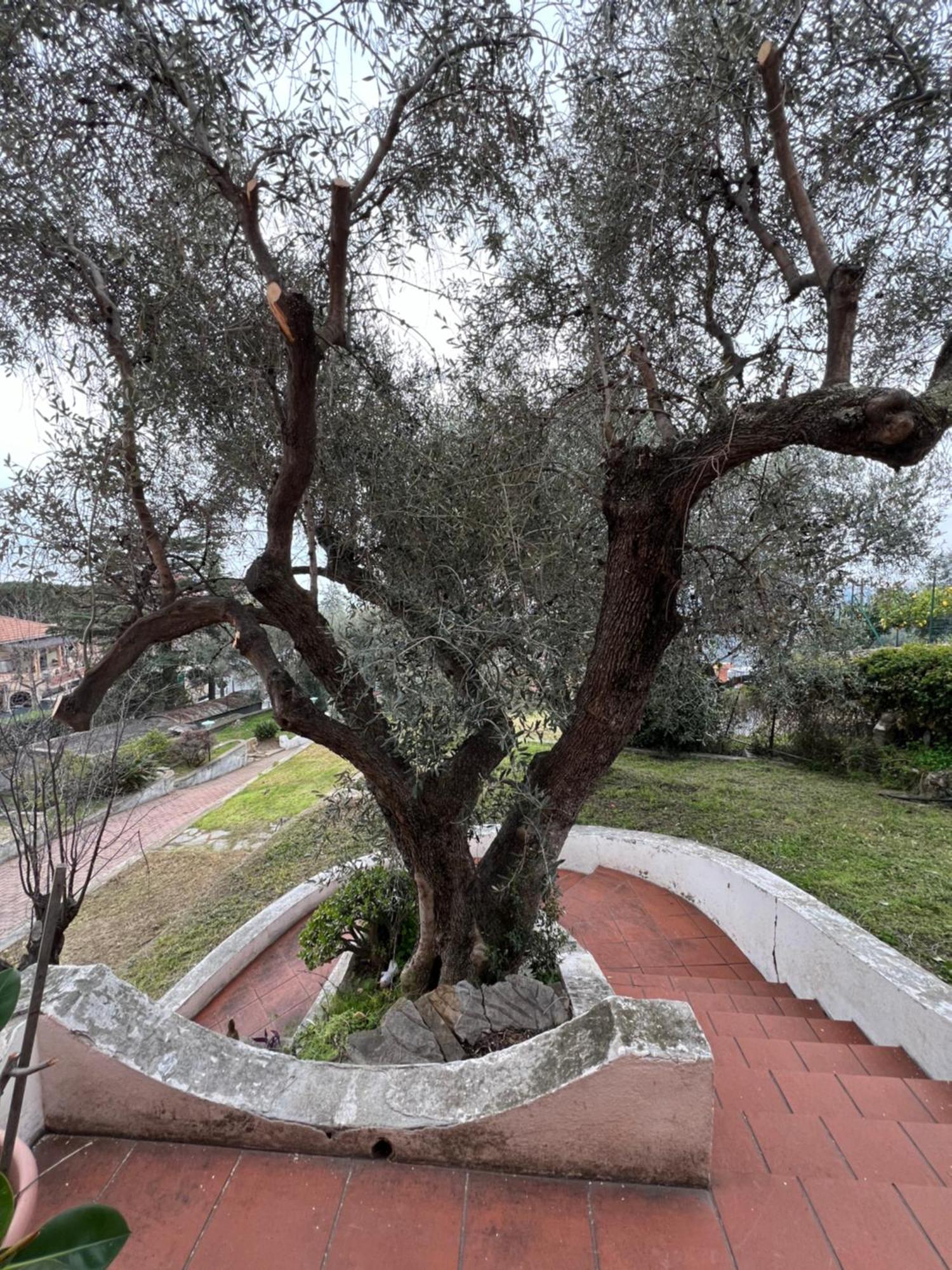 Villa In Collina Vista Mare Sanremo Exterior foto